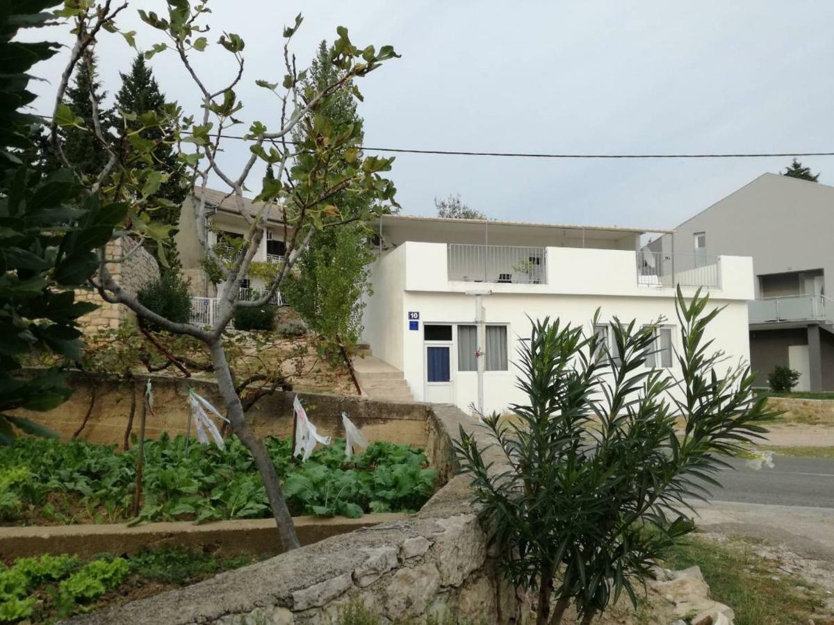 Villa House Zara Maslenica Exterior foto